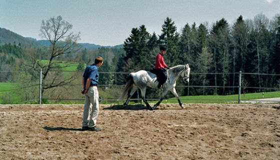 Im Longenunterricht werden Vertrauen zum Pferd, Gleichgewicht und Taktgefühl vermittelt. Sitz und Hilfengebung werden gelehrt.